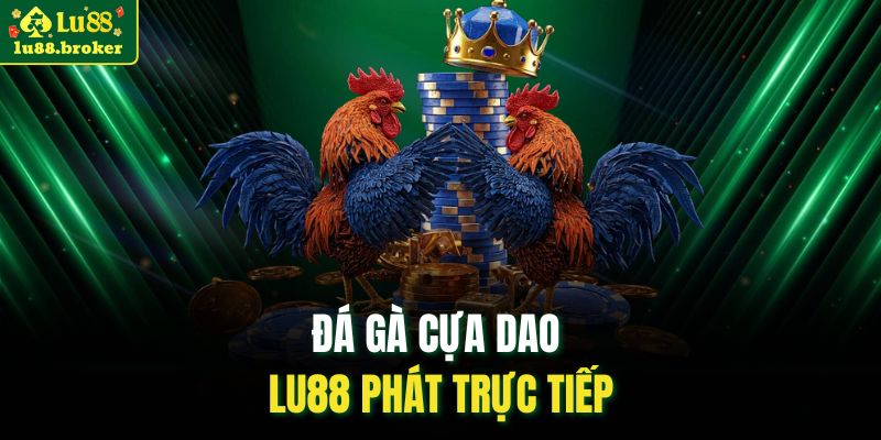 Đá gà cựa dao LU88 phát trực tiếp